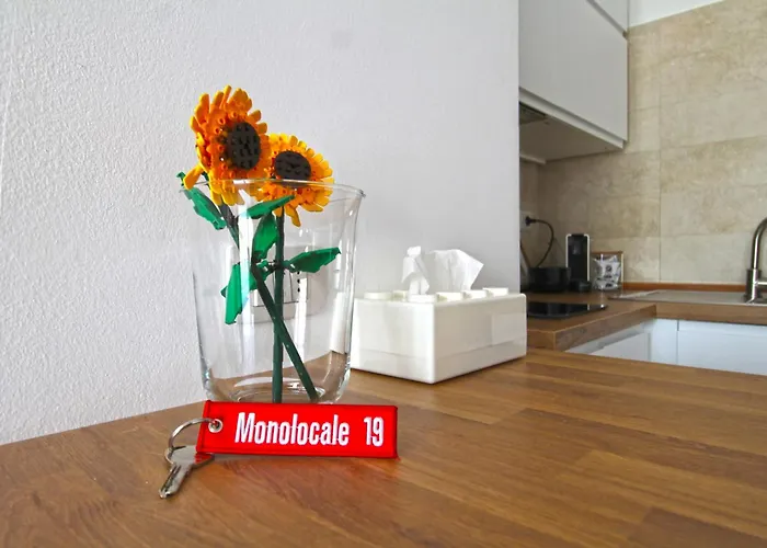 Monolocale 19 Roma